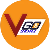 VGOSkinz